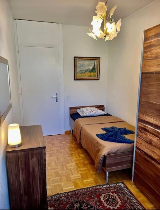 Appartement 7,0 Pieces 3 Chambres Proximite Aeroport Geneva Luaran gambar